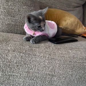 Meet your Posher, Ashley